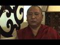 Geshe Kalsang Damdul: Keep Your Own Culture Alive - Institute of Buddhist Dialectics in Dharamsala