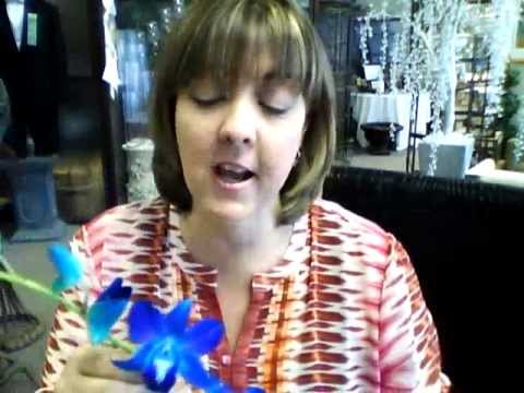 how to dye orchids