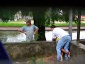 Arresto Ciudadano