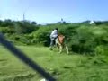 acrobacias en el tz