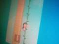 My poptropica Adventures