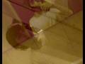 videos de Hernan Algonzino y Alejo Marino (L).wmv