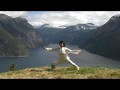 Taiji Shen Gong - Li Jing #2