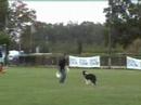 Dogfrisbee European Championships 2006 Dogfrisbee European Championships 2006