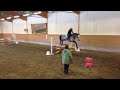 Click here to watch this video Val född 2006