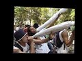 guess who &amp; grasu xxl -maria ioana