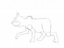 2d animation pratice of Steve robert exersie