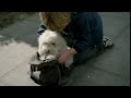 Doctor Cheezy Promo Aflevering 1