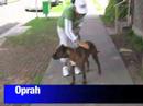 Oprah needs a home.