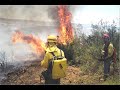 incendios 2006