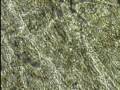 ebat Capillaries