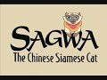 Theme Song – Sagwa The Chinese Siamese Cat
