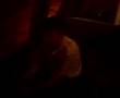 Mr. woohoo/woogy fight part 2