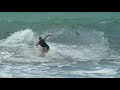 videos Surf
