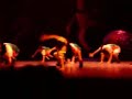 intercolegial de baile 2008 (Noti-sueño)