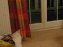 2 Nights 4 Ceddu - Dentifricio 2 Nights 4 Ceddu - Dentifricio