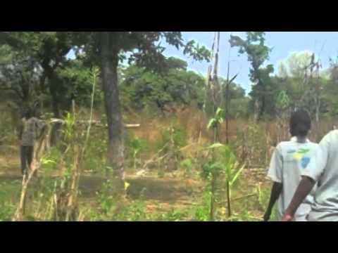 See video