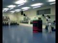 Aspet flying side kick