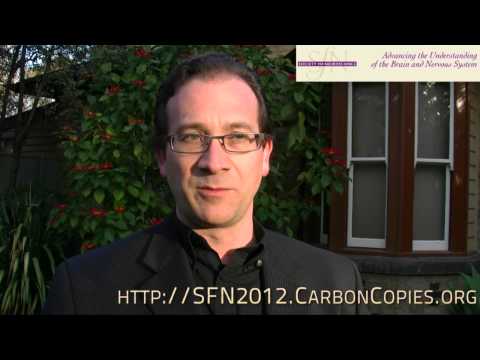 how to collect hilton points