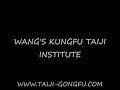 Push Hands Demo Lijun Wang