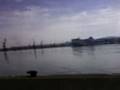 videos de fast boy from creta