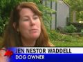 Dog 'Stoned' After Eating Marijuana in Seattle