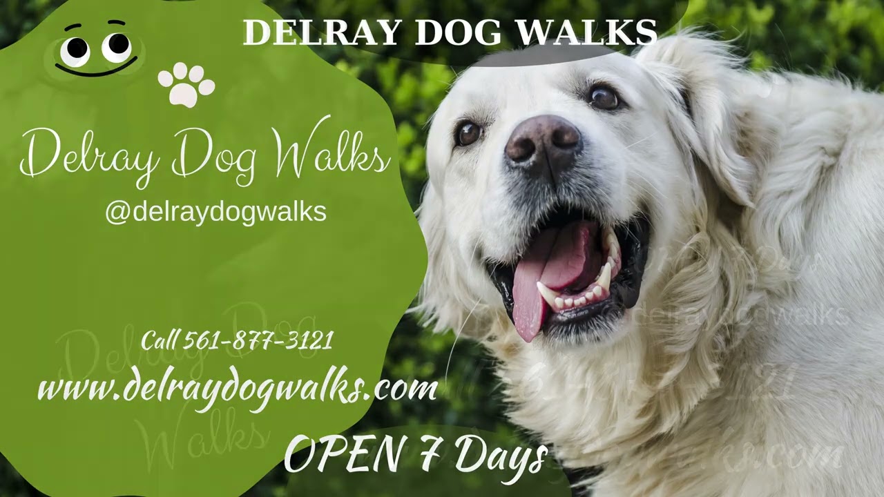 Delray Dog Walks In Home Services
