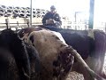 test de grossesse echographie
