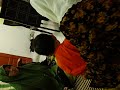 Raya 2008 Usop 5