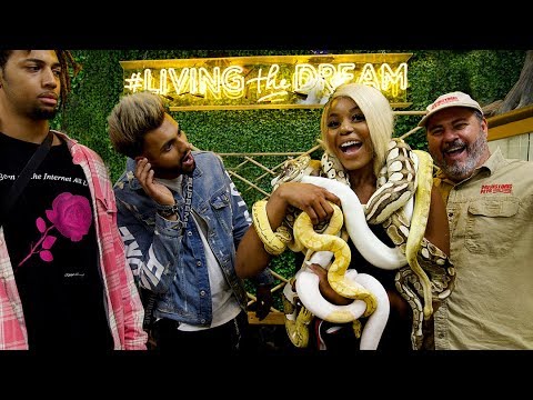 YouTube reptile video