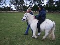 farm stay pony ride New zealand