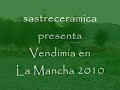 vendimia 2010