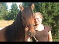 KIGER MUSTANG KIGER MUSTANG