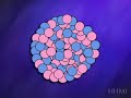 Calico X Inactivation (random deactivation of an X chromosome) Calico X Inactivation (random deactivation of an X chromosome)