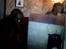 BKMecca Libation WMC08 Dj Sabine