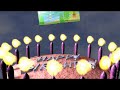 \"Cards\" Avanquest / Nova Teaser (It\ \"Cards\" Avanquest / Nova Teaser (It\