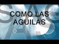 Patricio Mena Como las Aguilas Letra