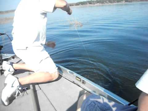 Catching bass with JIGDINGER bait!!!!!
