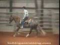 Bridleless Horse Riding
