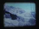 Zoo 1973.mov Zoo 1973.mov