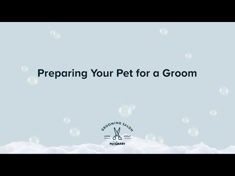 Preparing Your Pet for Grooming | PetSmart