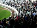 videos de Raja - Mco  1-0 du 02-11-08  magana ,kono rajala darbo dokal