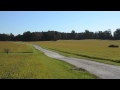 Green1 - YouTube