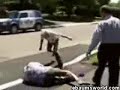brendon fevola bar brawl