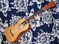 Ka Ipo Lei Manu: John King ukulele