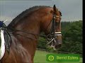 Dressage