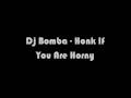    Dj Bomba - Honk If You Are Horny