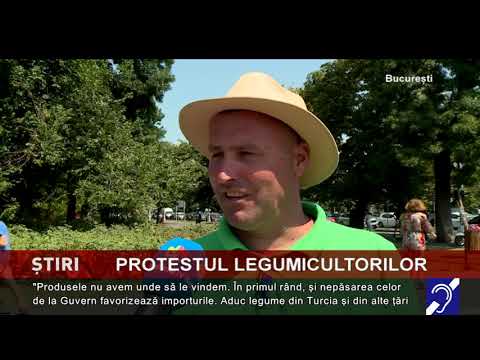 Protestul legumicultorilor, în Piața Victoriei