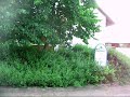 Tennisclub Hockenheim / tchvideoclips