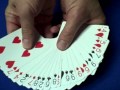 Matching Mates - Beginner Card Trick